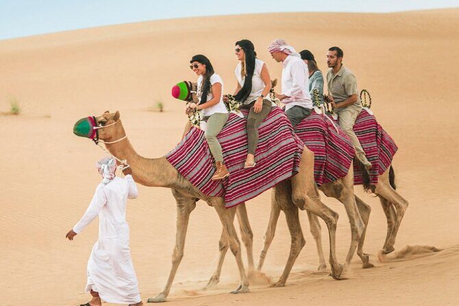 Dubai Evening Red Dune Safari at Lahbab - The Sum Up: Who Is This Tour For?