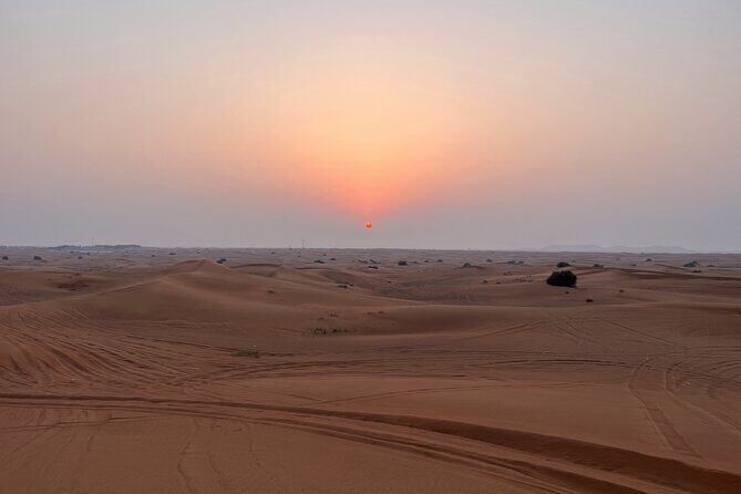 Dubai Evening Red Dune Safari With 30 Mins ATV, BBQ, Live Shows - FAQ