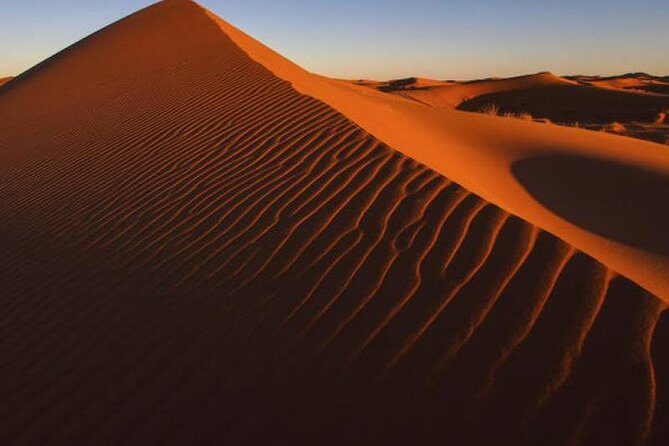 Dubai Evening4x4Desert Safari,BBQ Dinner,4 LiveShows,Camelride - Final Thoughts: Is It Worth It?