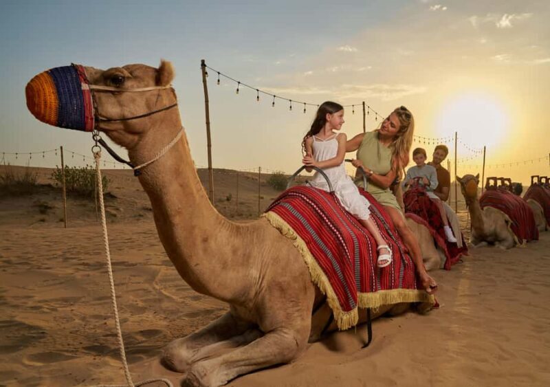 Dubai: Exclusive VIP Desert Safari Dinner with Live Show - Who Is This Tour Best For?