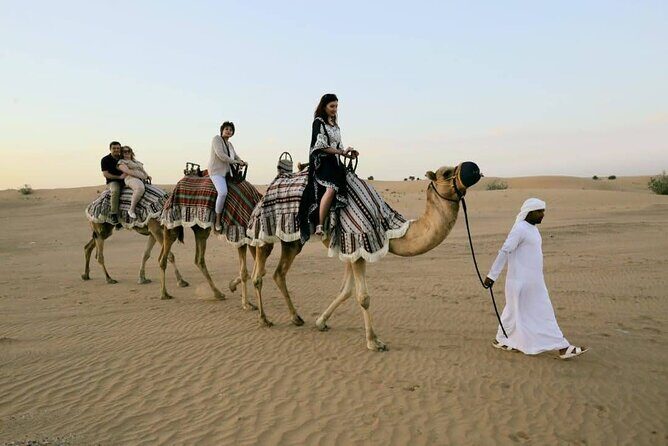 Dubai: Experience Amazing Desert Safari - What the Tour Offers: A Well-Structured Adventure