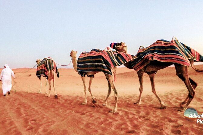 Dubai Full-Day Desert Safari Experience with Live BBQ Dinner - An Overview of the Experience