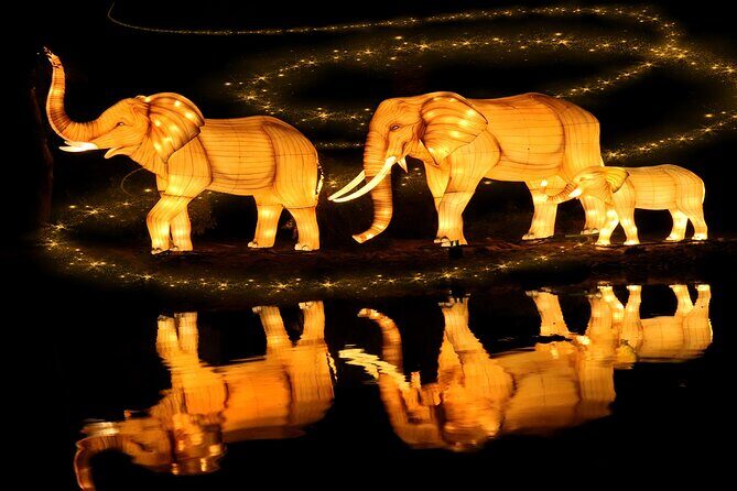 Dubai Garden Glow Tickets with Transport Options - What to Expect at Dubai Garden Glow