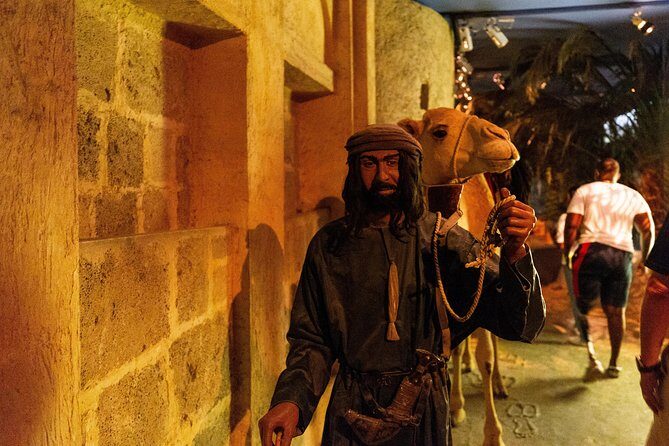 Dubai Half-Day City Tour with Visit to Dubai Gold Souk - The Sum Up