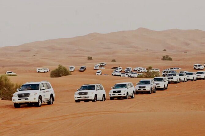 Dubai: Half-Day Desert Safari ,Camels & Sunset - Key Points