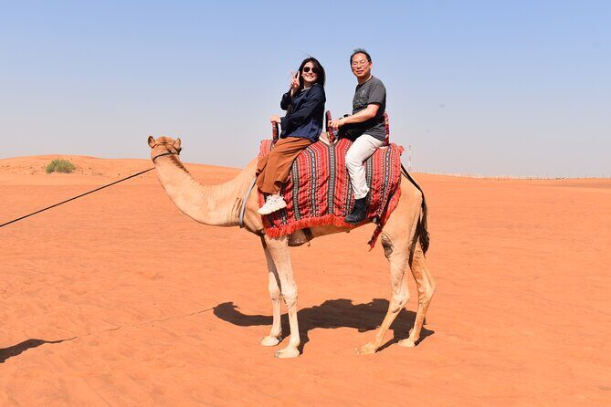 Dubai: Half-Day Desert Safari ,Camels & Sunset - A Deep Dive into the Desert Experience
