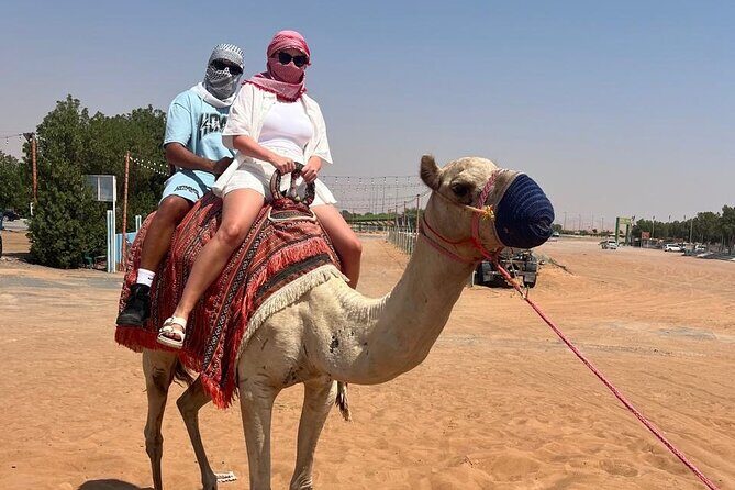 Dubai: Half-Day Desert Safari ,Camels & Sunset - Who Will Love This Tour?