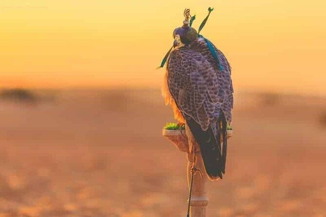 Dubai Hot Air Balloon Sunrise Sightseeing Ride - Analyzing the Value