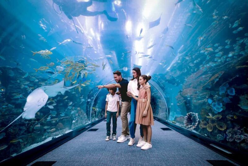 Dubai Iconic Burj Khalifa + Aquarium + Sky Views Ticket - Key Points