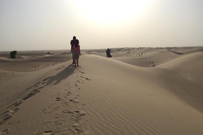 Dubai Kids Friendly Morning Safari - Private Car - An In-Depth Look at the Dubai Kids Friendly Morning Safari