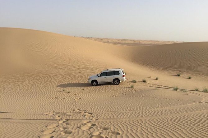 Dubai Kids Friendly Morning Safari - Private Car - FAQ