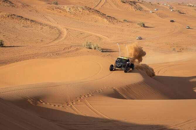 Dubai Long Self-Drive Quadbike with Camel and Falcon - Final Thoughts