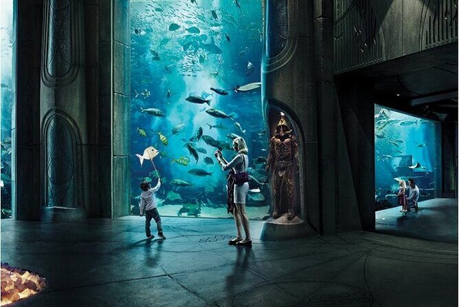 Dubai Lost Chambers Aquarium Admission E-Ticket - The Experience: From Ruins to Reef