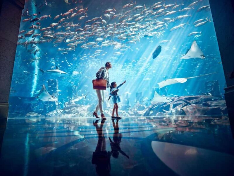 Dubai: Lost Chambers Aquarium Entry Ticket - An Actual Walkthrough of the Experience