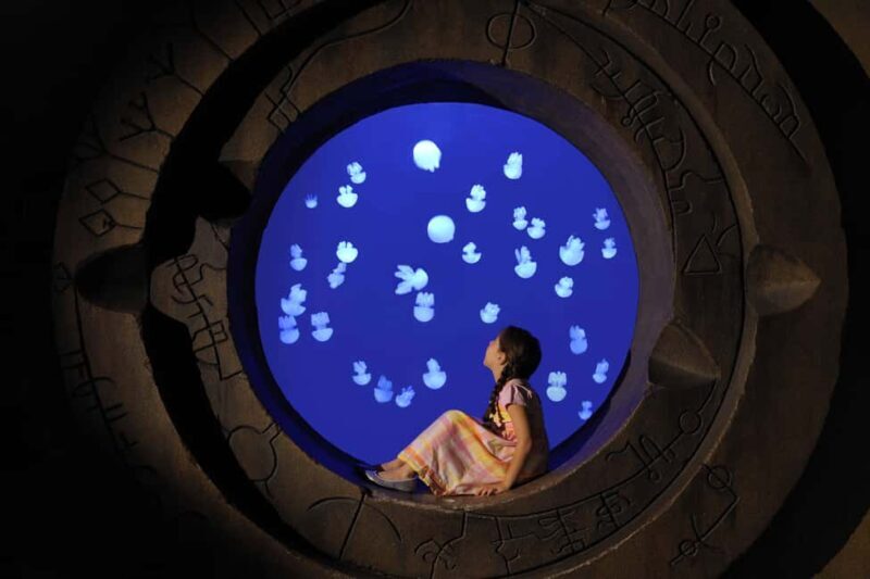 Dubai: Lost Chambers Aquarium Entry Ticket - What Do Visitors Say?