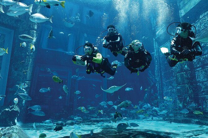 Dubai Lost Chambers Dive Discovery - An In-Depth Look at the Dubai Lost Chambers Dive Discovery