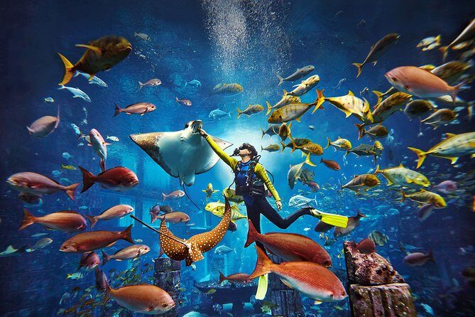 Dubai Lost Chambers Dive Explorer (Certification Required) - A Closer Look at the Atlantis Explorer Experience