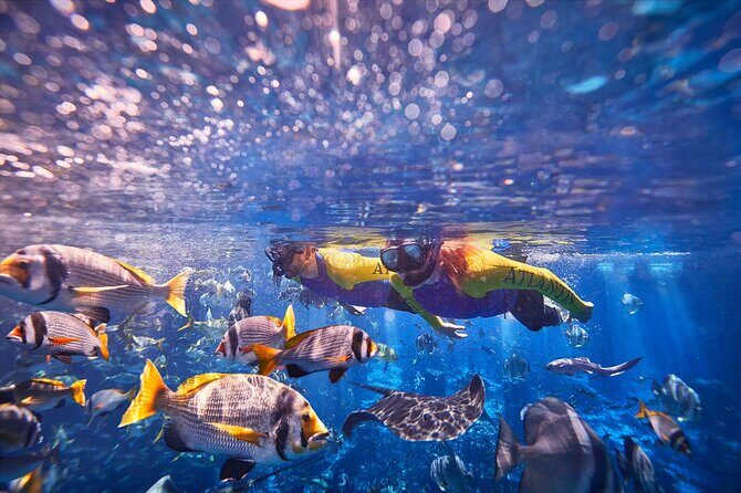 Dubai Lost Chambers Ultimate Snorkel Experience - Key Points