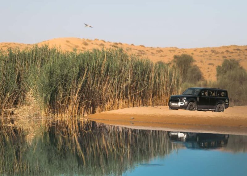 Dubai: Luxury Safari with Michelin-Curated 5-Course Dinner - Sunset Camel Ride and Transition to Fine Dining