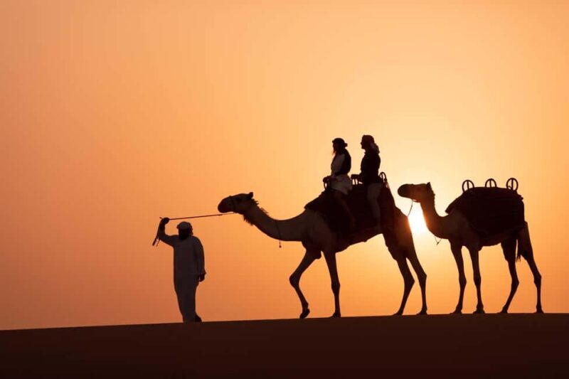 Dubai: Luxury Safari with Michelin-Curated 5-Course Dinner - Value and Practicalities