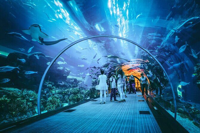Dubai Mall Aquarium and Underwater Zoo Ticket - Exploring the Itinerary and What to Expect