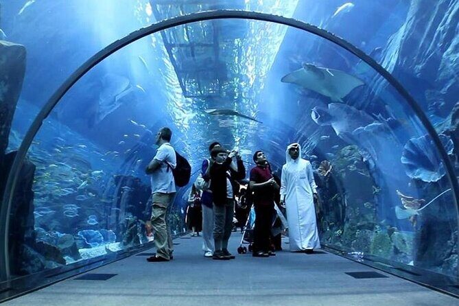 Dubai Mall Aquarium and Underwater Zoo Ticket - Visual and Sensory Highlights