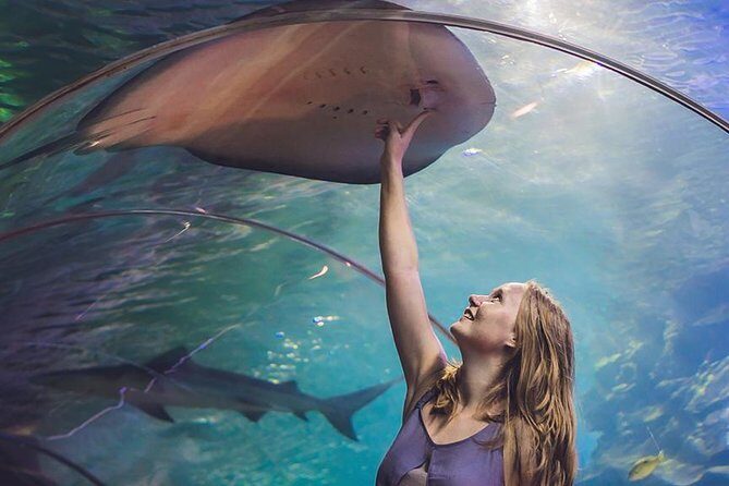 Dubai Mall Aquarium & Underwater Zoo with Penguin Cove Tickets - An Exploration of the Dubai Aquarium & Underwater Zoo