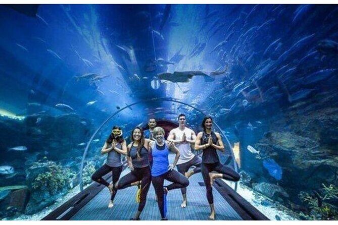 Dubai Mall Aquarium with Penguin Cove + Skyview Ticket - A Closer Look at the Itinerary