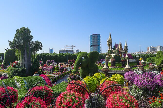 Dubai Miracle Garden Admission Ticket with Hotel Transfer - An In-Depth Look at the Experience