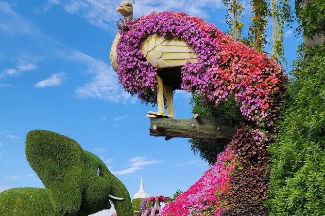Dubai Miracle Garden Skip the Line E-Ticket and Transport Options - FAQ