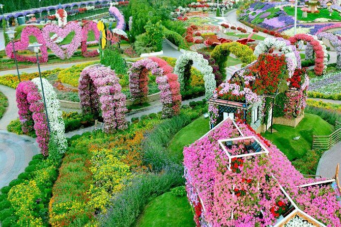 Dubai Miracle Garden Ticket with Transfer - Analyzing the Value