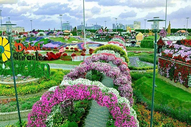 Dubai Miracle Garden with private round trip transfers - Key Points