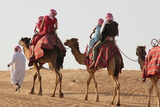 Dubai: Morning Desert Safari - The Sum Up