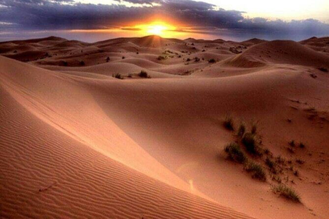 Dubai Morning Desert Safari: Camel Ride & Sandboarding! - Who Should Consider This Tour?