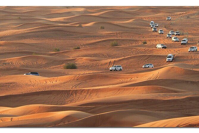 Dubai Morning Desert Safari: Camel Ride & Sandboarding! - FAQ
