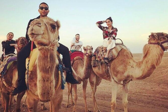 Dubai Morning Desert Safari: Camel Ride & Sandboarding! - Final Thoughts