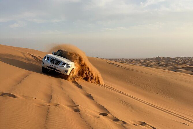 Dubai Morning Desert Safari Red Dune Camel Falcon & Sandboarding - What to Expect from the Dubai Morning Desert Safari