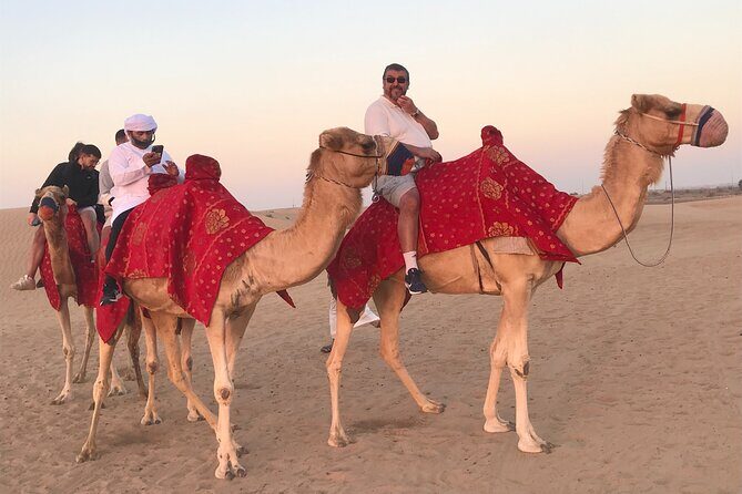 Dubai Morning Desert Safari Red Dune Camel Falcon & Sandboarding - Final Thoughts