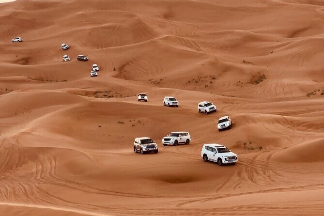 Dubai Morning Desert Safari Red Dune Camel Falcon & Sandboarding - FAQs
