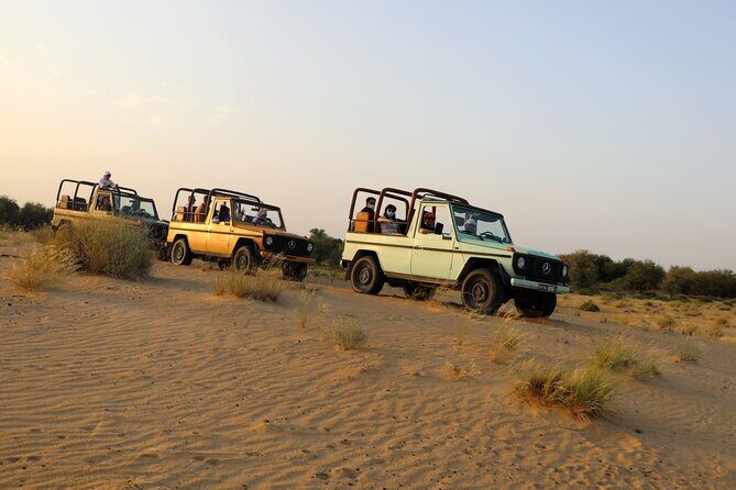 Dubai: Morning Heritage Safari by Vintage G Class & Al Marmoom Oasis - Pricing & Value