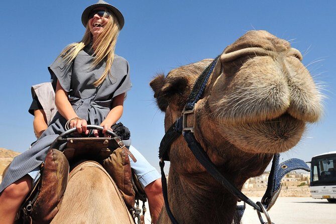 Dubai Morning Red Dunes with Camel Safari & Sandsurf - Who Should Book This Tour?