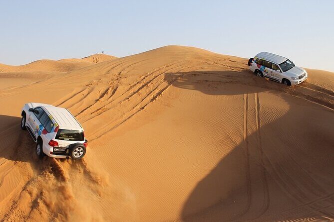 Dubai Morning Safari Adventure - A Detailed Look at the Dubai Morning Safari Adventure