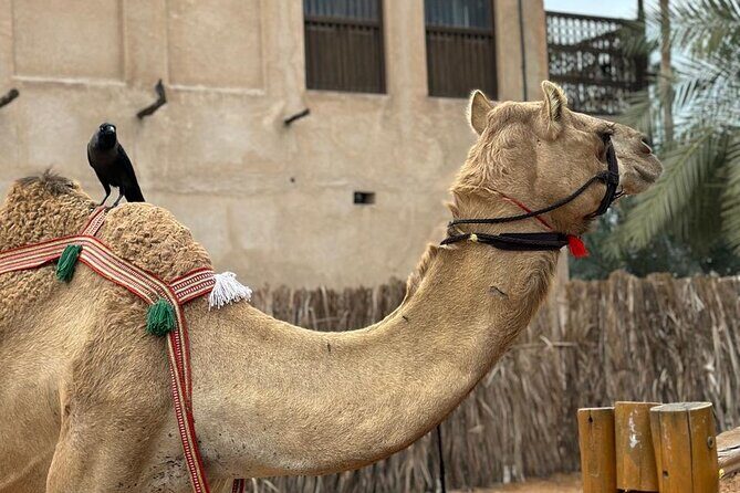 Dubai Old Town Walking Tour with Abra ride, Spice and Gold Souk - Practicalities and Value