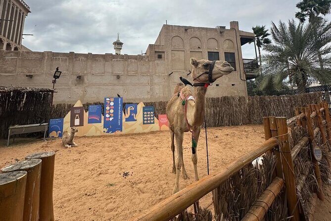 Dubai Old Town Walking Tour with Abra ride, Spice and Gold Souk - FAQ