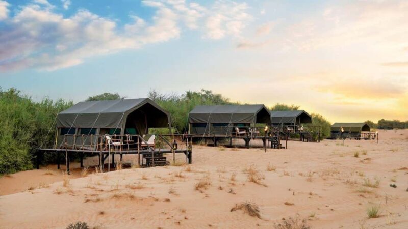 Dubai: Overnight Desert Safari Dune Drive, Private Tent, BBQ - The Itinerary: A Step-by-Step Breakdown