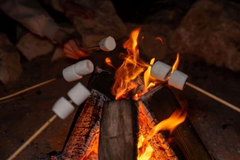 Dubai: Overnight Desert Safari Dune Drive, Private Tent, BBQ - The Sum Up