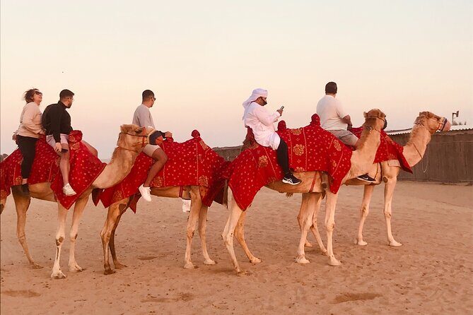Dubai Premium Desert Safari Red Duns Camel sandbord & Premium BBQ - A Detailed Look at the Dubai Premium Desert Safari