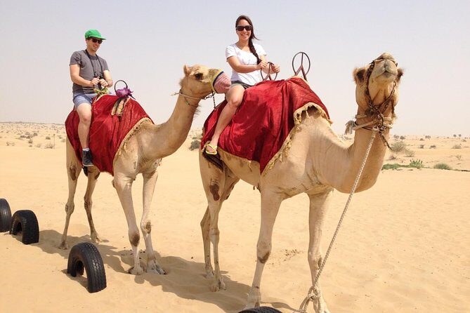 Dubai Premium Desert Safari with BBQ Dinner & VIP Camp Experience - What Makes This Tour Stand Out?