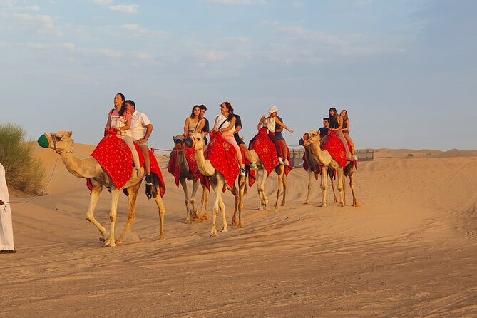 Dubai Premium Red Dunes Safari Camel Ride and BBQ Dinner - FAQ