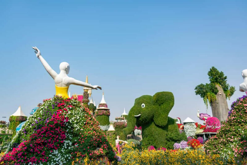 Dubai: Private Dubai Flora and Fauna Trip - What Does This Tour Offer in Terms of Value?